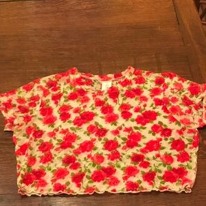 Top cropped see thru mesh